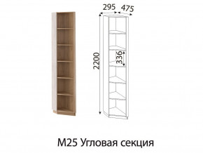 М25 Угловая секция в Кушве - kushva.magazinmebel.ru | фото