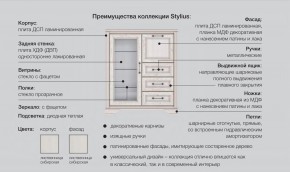 Прихожая модульная Стилиус в Кушве - kushva.magazinmebel.ru | фото - изображение 2