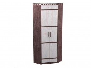 шкаф 2-х дверный угловой в Кушве - kushva.magazinmebel.ru | фото