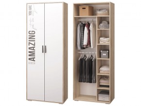 Шкаф для одежды в Кушве - kushva.magazinmebel.ru | фото